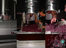 Charger l'image dans la galerie, "Les P'tites pressées"-"Le vin du quotidien"!  BIB 5 L - Chateaux G. ARPIN