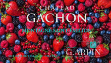 Charger l&#39;image dans la galerie, Château Gachon 2014 - AOP Montagne Saint Emilion - Magnum 1,5l - Chateaux G. ARPIN