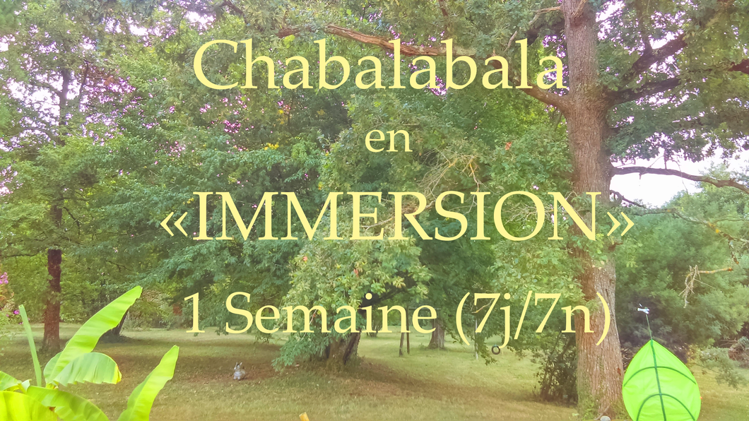 Chabalabala en IMMERSION 1 semaine - Chateaux G. ARPIN